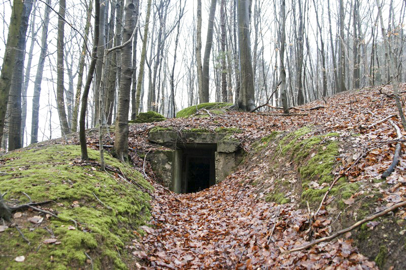 Ligne Maginot - HOCHWALD Ouest 2 ( Blockhaus pour arme infanterie ) -  - GRUBER Franck