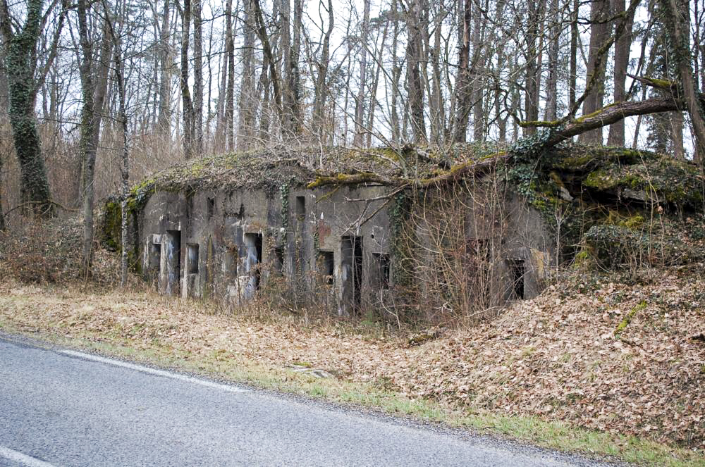 Ligne Maginot - La LOUVIERE (II/149° RIF) ( PC de Quartier ) - Situé en bordure de la route qui va de Longuyon vers Pierrepont en Meurthe et Moselle cet ouvrage est en ruine et la nature reprend ses droits... - Christian RICHON/devoitine520