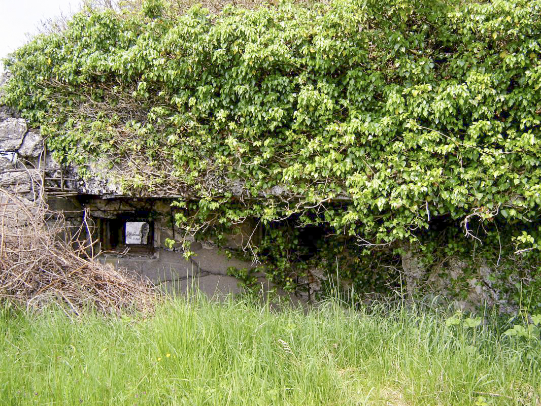 Ligne Maginot - INGOLSHEIM Ouest ( Casemate d'infanterie ) -  - JMBrams