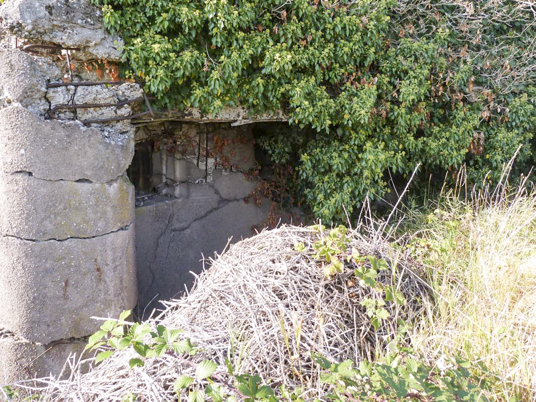 Ligne Maginot - INGOLSHEIM Ouest ( Casemate d'infanterie ) -  - JMBrams