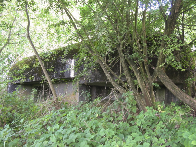 Ligne Maginot - KEFFENACH ( Blockhaus pour canon ) - Remarquez à droite l'embrasure pour mitrailleuse identique à une coupole type 7ème Région. - Antoine SCHOEN