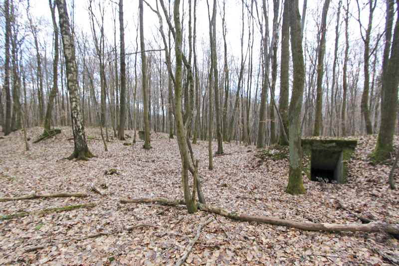 Ligne Maginot - MEMMELSHOFFEN (22° RIF) ( PC de Sous-Secteur ) -  - Antoine SCHOEN