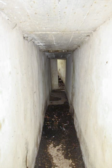 Ligne Maginot - MEMMELSHOFFEN (22° RIF) ( PC de Sous-Secteur ) - Seconde tranchée couverte avec son entrée au dernier plan - Antoine SCHOEN