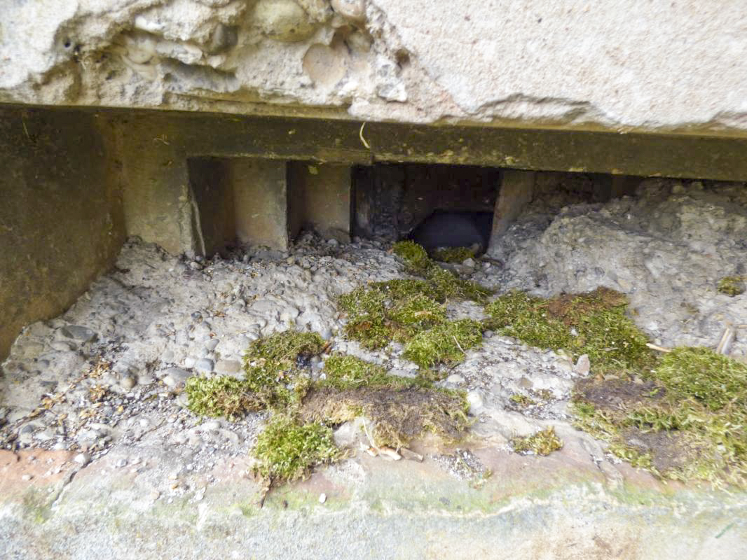 Ligne Maginot - WISSEMBOURG NORD EST - (Poste GRM - Maison Forte) - Le troisième créneau en façade
Détail du bouchon bétonné - LATIMIER Seb