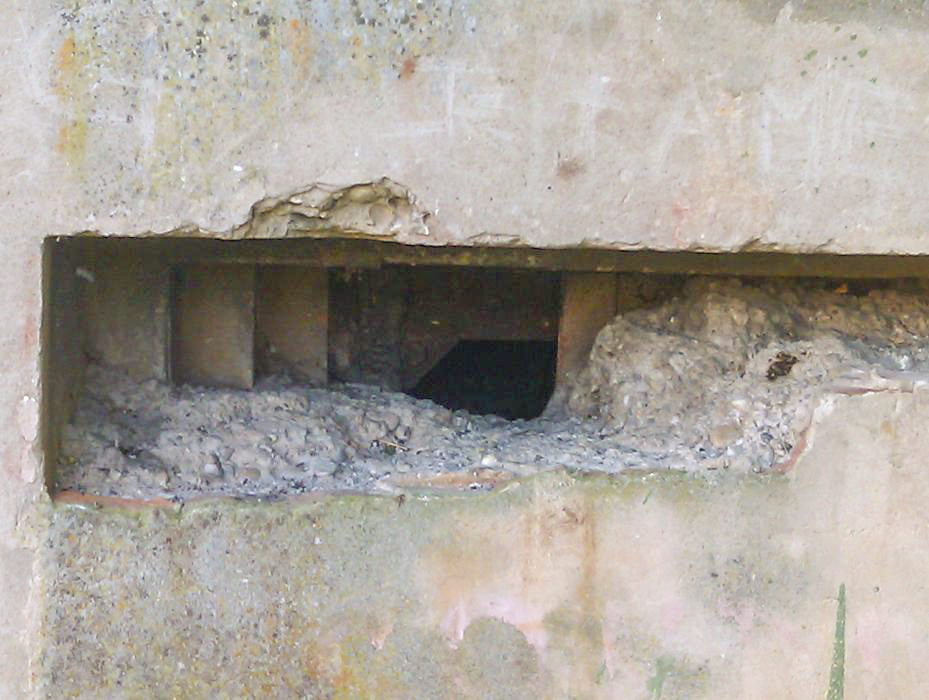 Ligne Maginot - WISSEMBOURG NORD EST - (Poste GRM - Maison Forte) - L'embrasure type A pour FM est visible sur cette photo - donceuh