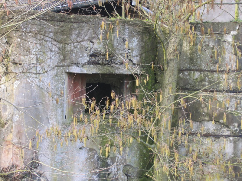 Ligne Maginot - ALTENSTADT NORD - (Poste GRM - Maison Forte) - Créneau FM - Antoine SCHOEN
