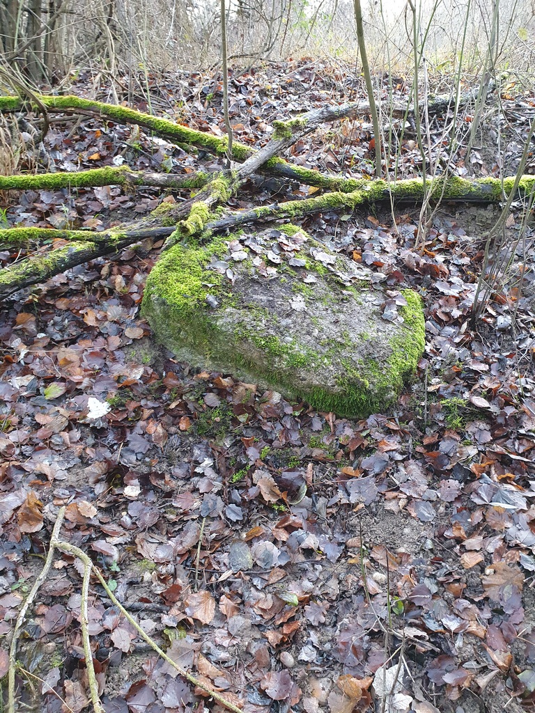 Ligne Maginot - 24/1 - OCHSENKOPF SUD - (Casemate d'infanterie - double) - 2020 ... Sur un monticule de terre recouvert de ronces, un morceau de béton est le seul témoin visible de son existence et de son drame de juin 1940 - DURLEWANGER Hubert