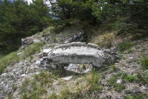 Ligne Maginot - COTE 1408 - (Blockhaus pour arme infanterie) - 