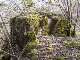 Ligne Maginot - BA106 - ROUTE DE REVIN 3 - (Blockhaus pour arme infanterie) - Face gauche