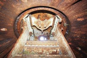 Ligne Maginot - FORT DE MUTZIG - (Ouvrage d'artillerie) - BATTERIE 2 - Fort Ouest
Tourelle de 5,3