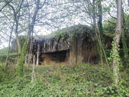 Ligne Maginot - BOIS de HOFFEN Ouest ( Casemate d'infanterie ) - 