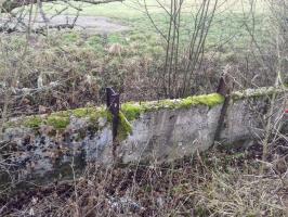 Ligne Maginot - B41 - FRANOIS - (Casemate d'infanterie - Double) - Fossé antichar