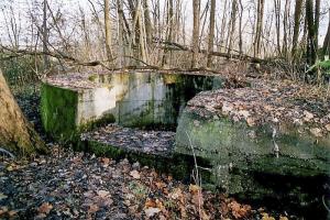 Ligne Maginot - OUVRAGE NEY-RAPP - (Position d'artillerie préparée) - Bloc nord
La cuve pour canon de 10 cm KiSL qui flanquait le Rhin au nord de Strasbourg, vers le sous-secteur de Herrlisheim