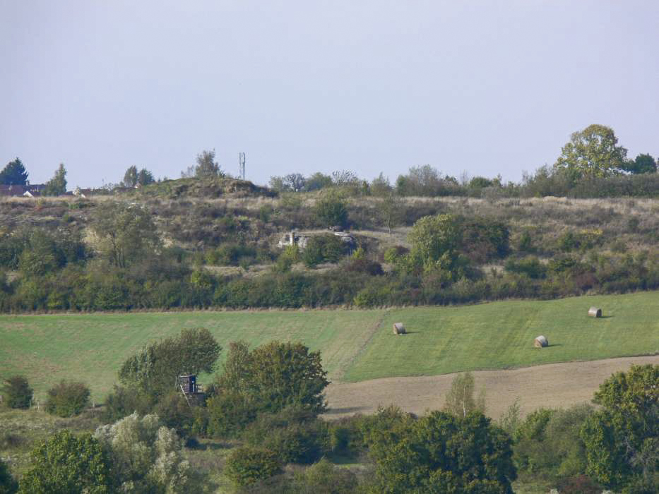 Ligne Maginot - PETIT REDERCHING - (Abri) - L'abri  de Petit Réderching vu depuis Heiligenbronn - JFK