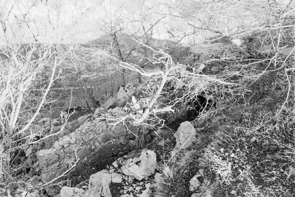 Ligne Maginot - TETE DU LOUP - (Observatoire d'artillerie) -  - Alain LOVINY