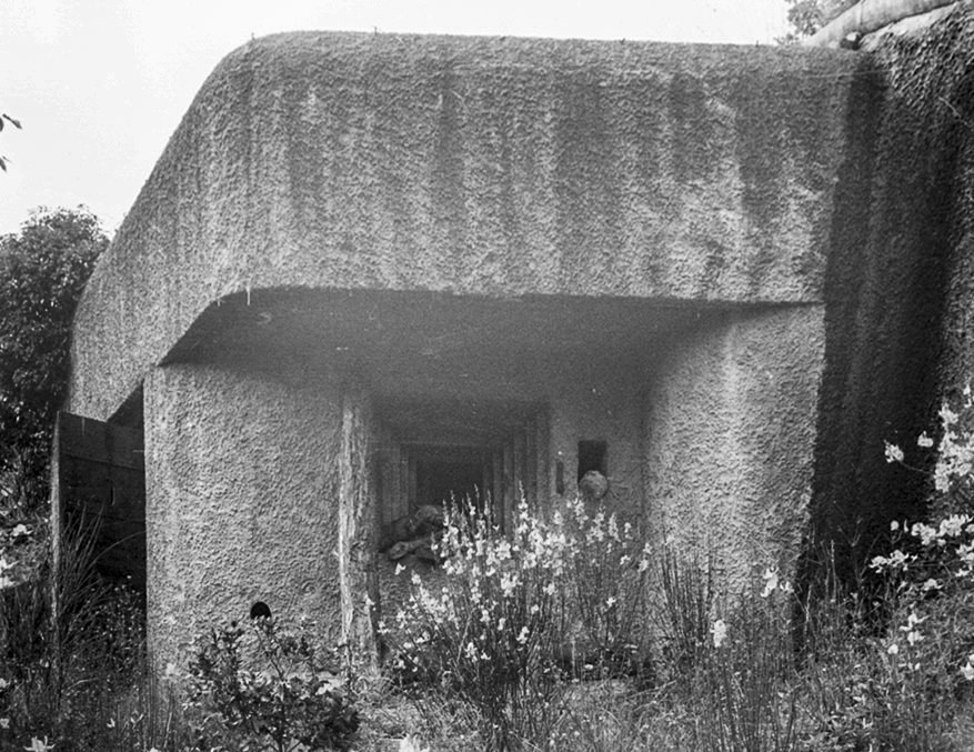 Ligne Maginot - O29 - NIEYA NORD - (Casemate d'infanterie) -  - LOVINY Alain