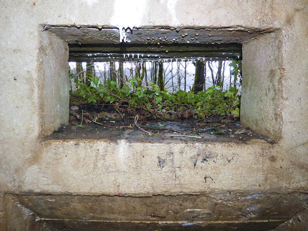Ligne Maginot - BB8-A - BEAUX SARTS - (Blockhaus pour arme infanterie) -  - JMBrams