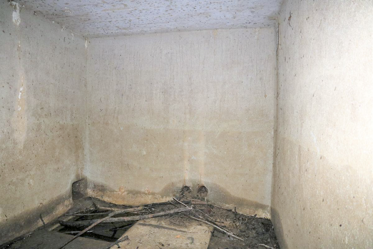 Ligne Maginot - RUE DES HORBES - (Abri) - Intérieur du local vu de l'entrée unique - Alain FOCQUENOY