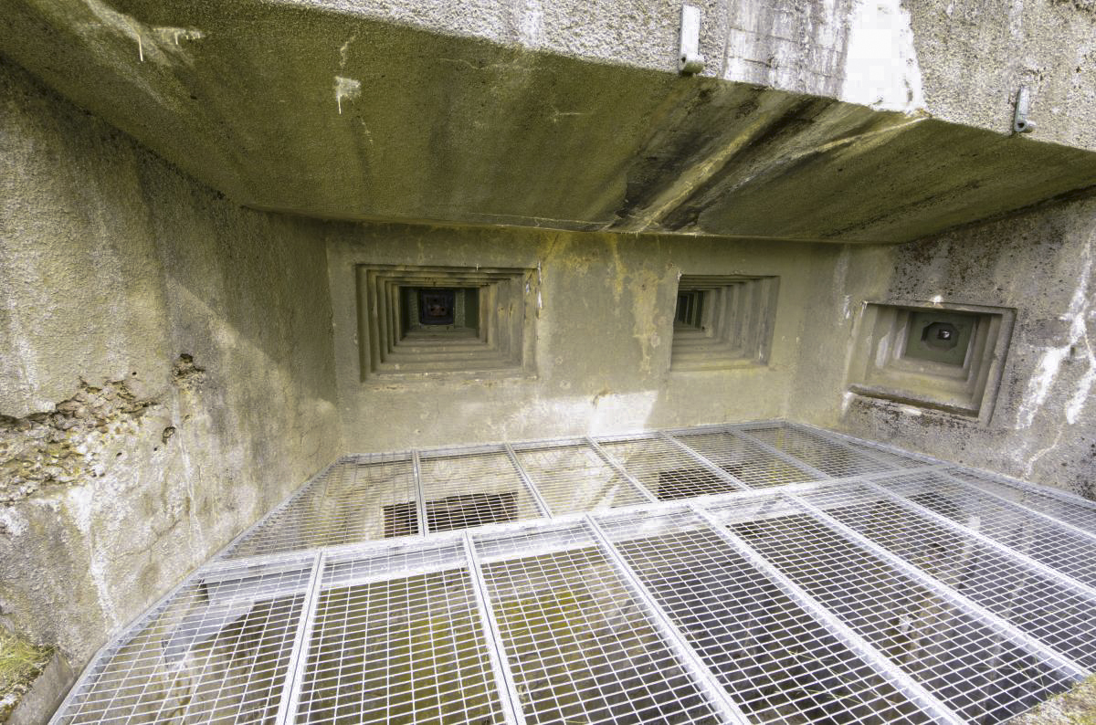 Ligne Maginot - BOIS DU FOUR - A5 - (Ouvrage d'infanterie) - Chambre de tir Est
Les grilles 'antichute' du fossé cachent les embrasures des mortiers de 81 - AURET Vincent