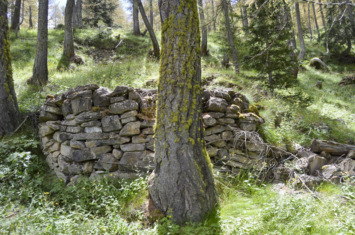 Ligne Maginot - ANCIEN CAMP 3 - (Abri) -  - Michal Prasil