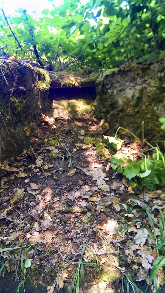 Ligne Maginot - WEISSENACKER - (Blockhaus de type indeterminé) -  - Gilbert Hastert