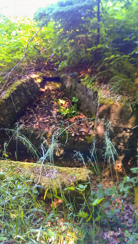 Ligne Maginot - WEISSENACKER - (Blockhaus de type indeterminé) -  - Gilbert Hastert