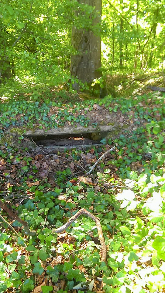 Ligne Maginot - WEISSENACKER 2 - (Blockhaus de type indeterminé) - Vue de devant.
Le poste avait vue directe sur les casemates d'Edling Nord et Sud - Gilbert Hastert