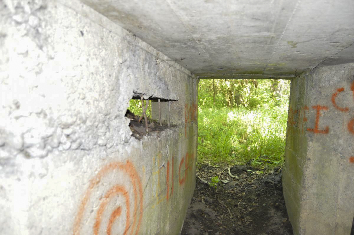 Ligne Maginot - LES GLIERES 2 - (Blockhaus pour arme infanterie) - 2016 - Michal Prasil