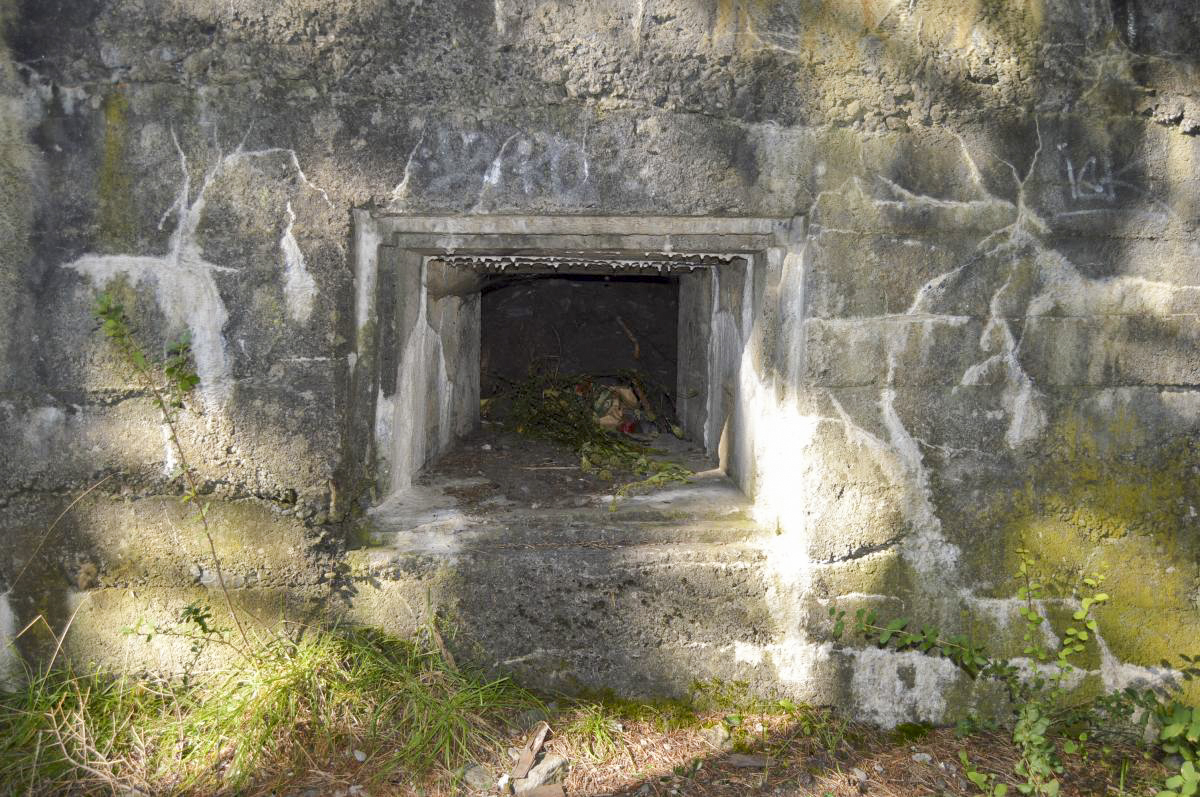 Ligne Maginot - LES GLIERES 3 - (Blockhaus pour canon) -  - Michal Prasil