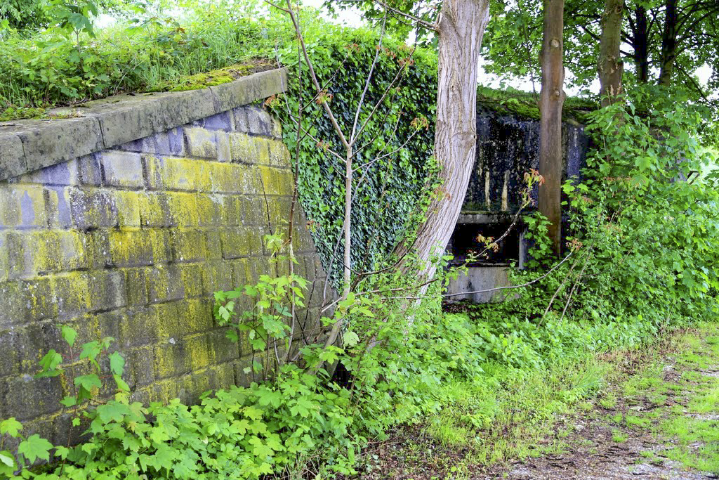 Ligne Maginot - 27/3 - FRIESENHEIM - (Casemate d'infanterie - Double) - Le mur de protection de l'entrée - Martin Bildstein - www.panoramio.com