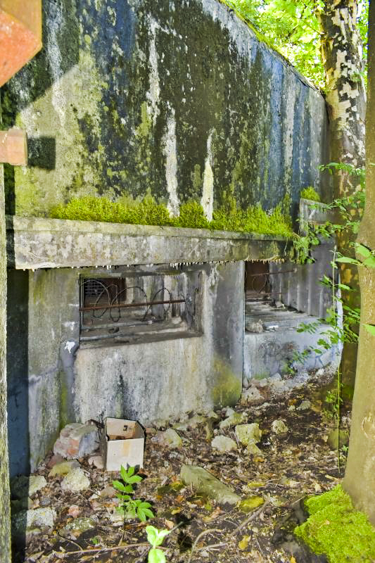 Ligne Maginot - 27/3 - FRIESENHEIM - (Casemate d'infanterie - Double) - Créneaux JM à gauche et JM + Canon à droite - FROEHLY Daniel