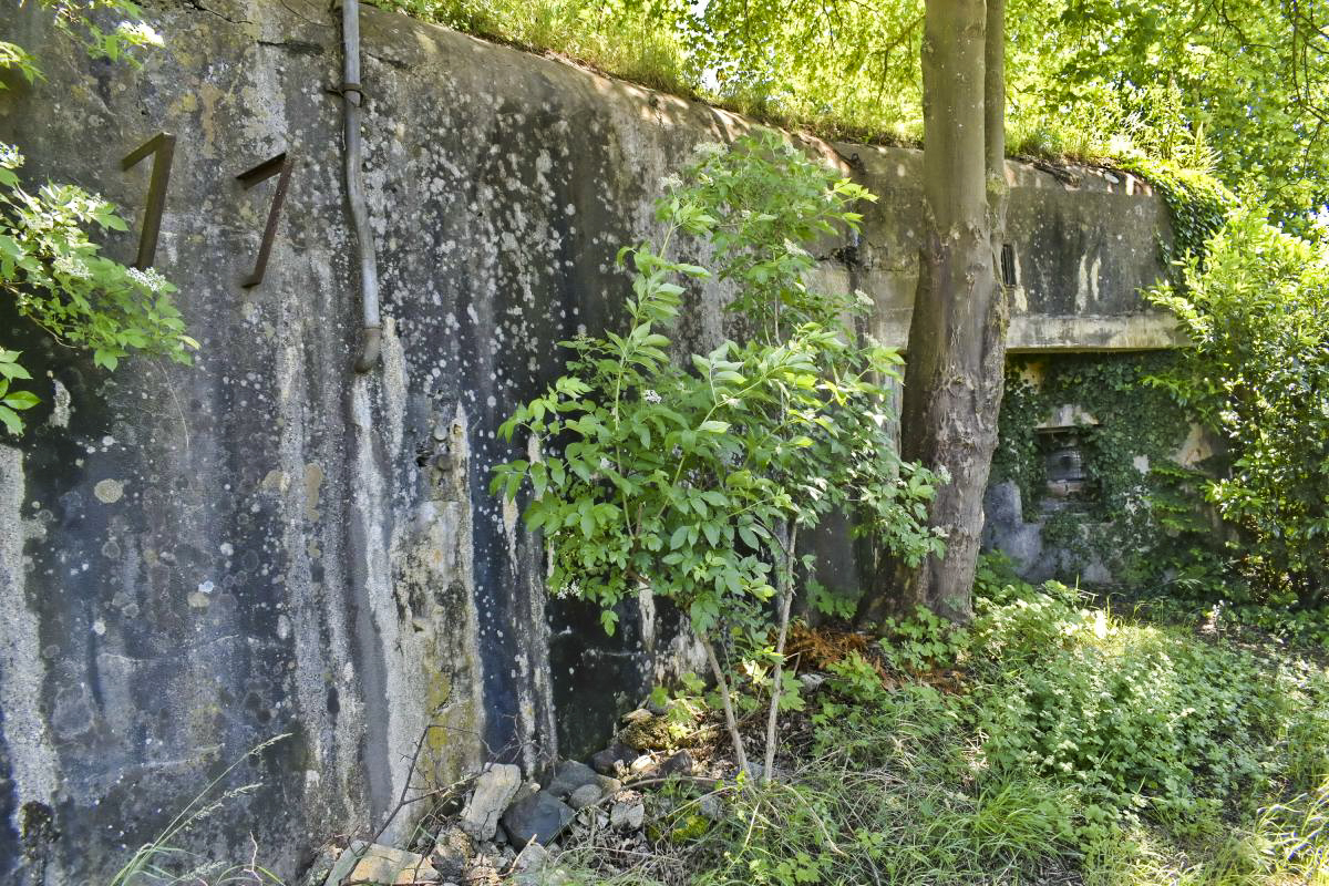 Ligne Maginot - 27/3 - FRIESENHEIM - (Casemate d'infanterie - Double) - Façade de l'entrée. Entrée masquée par l'arbre, et son créneau de défense. - FROEHLY Daniel