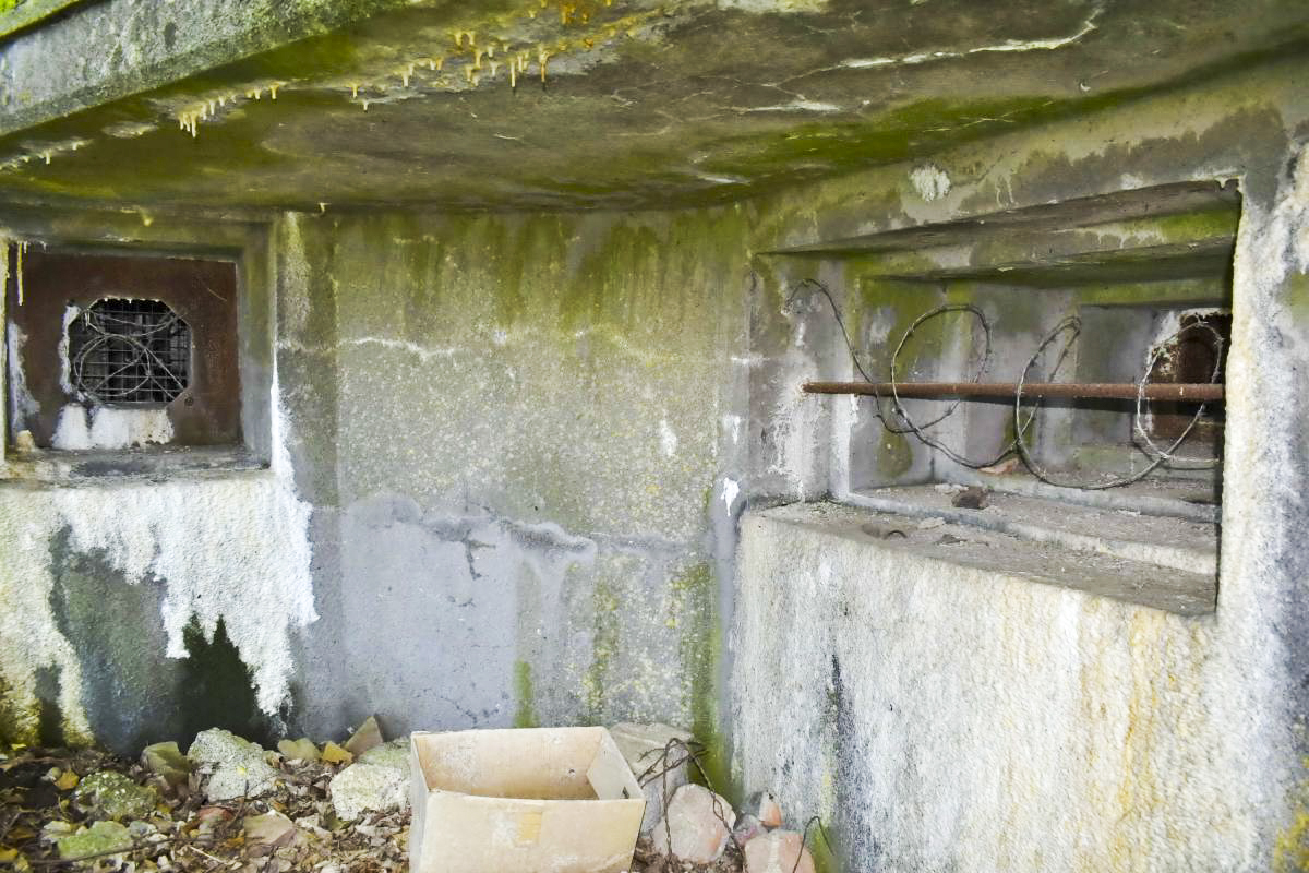 Ligne Maginot - 27/3 - FRIESENHEIM - (Casemate d'infanterie - Double) - Créneaux JM à droite et défense rapprochée à gauche - FROEHLY Daniel