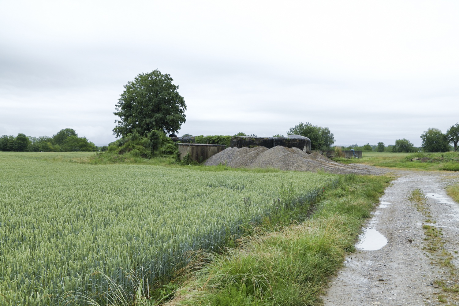 Ligne Maginot - 24/3 - ZIEGELHOF - (Casemate d'infanterie - double) -  - A. SCHOEN