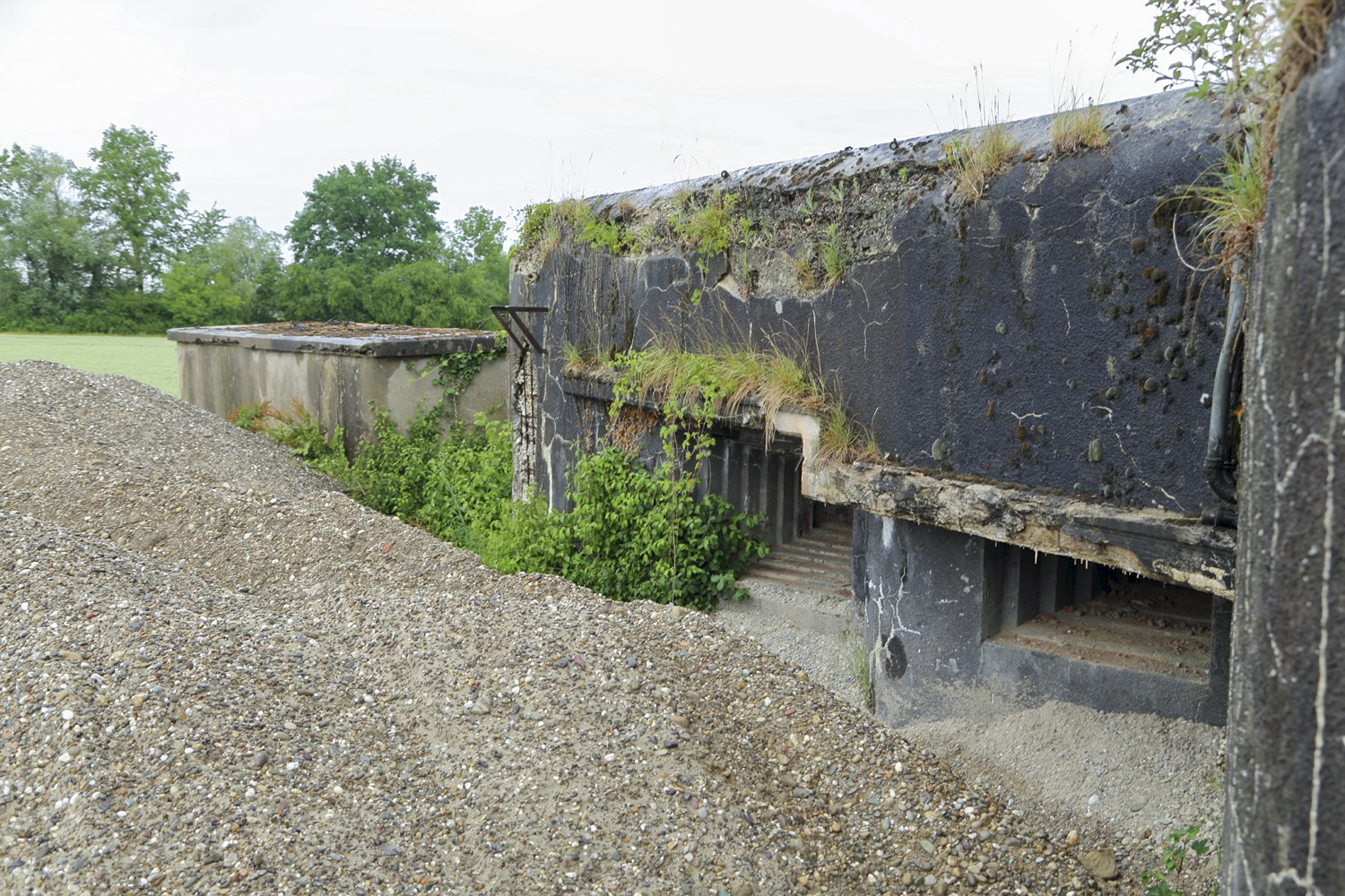 Ligne Maginot - 24/3 - ZIEGELHOF - (Casemate d'infanterie - double) -  - A. SCHOEN