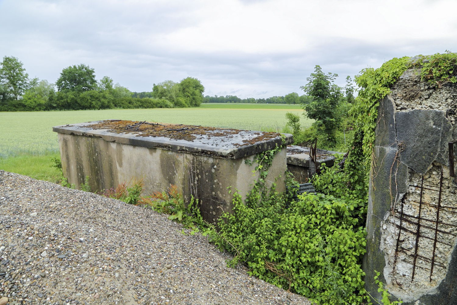 Ligne Maginot - 24/3 - ZIEGELHOF - (Casemate d'infanterie - double) -  - A. SCHOEN