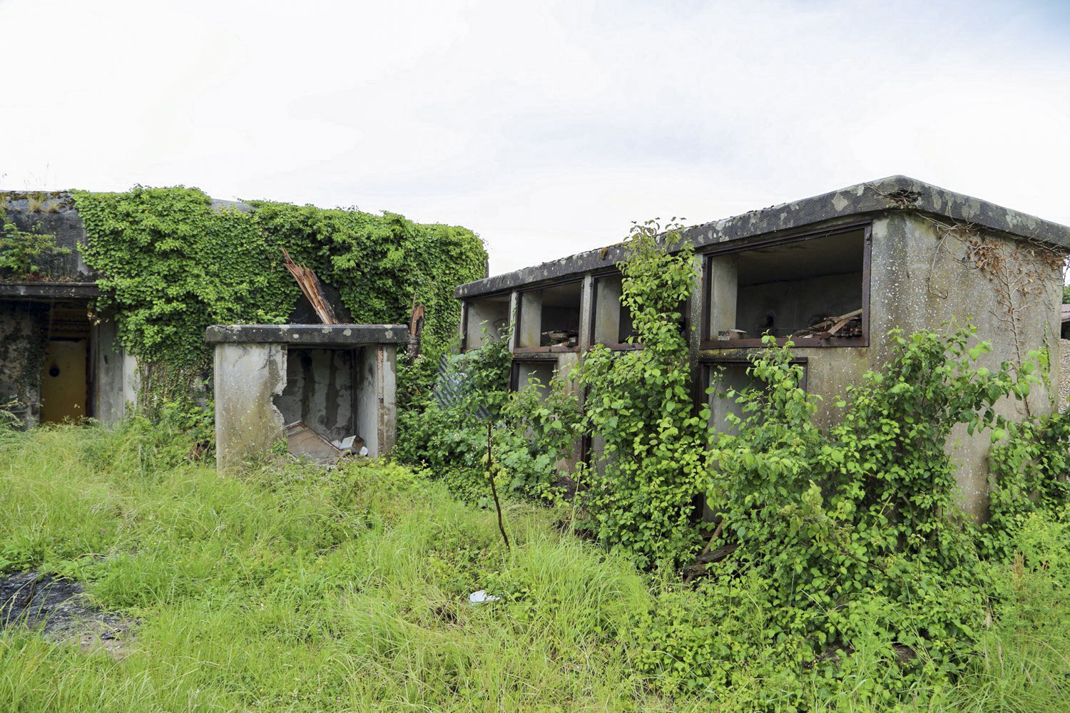 Ligne Maginot - 24/3 - ZIEGELHOF - (Casemate d'infanterie - double) -  - A. SCHOEN