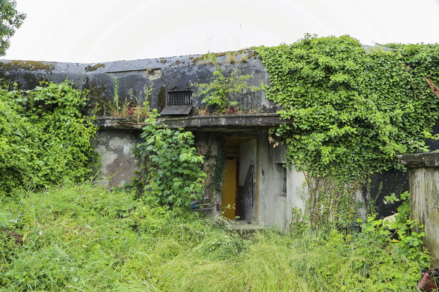 Ligne Maginot - 24/3 - ZIEGELHOF - (Casemate d'infanterie - double) -  - A. SCHOEN