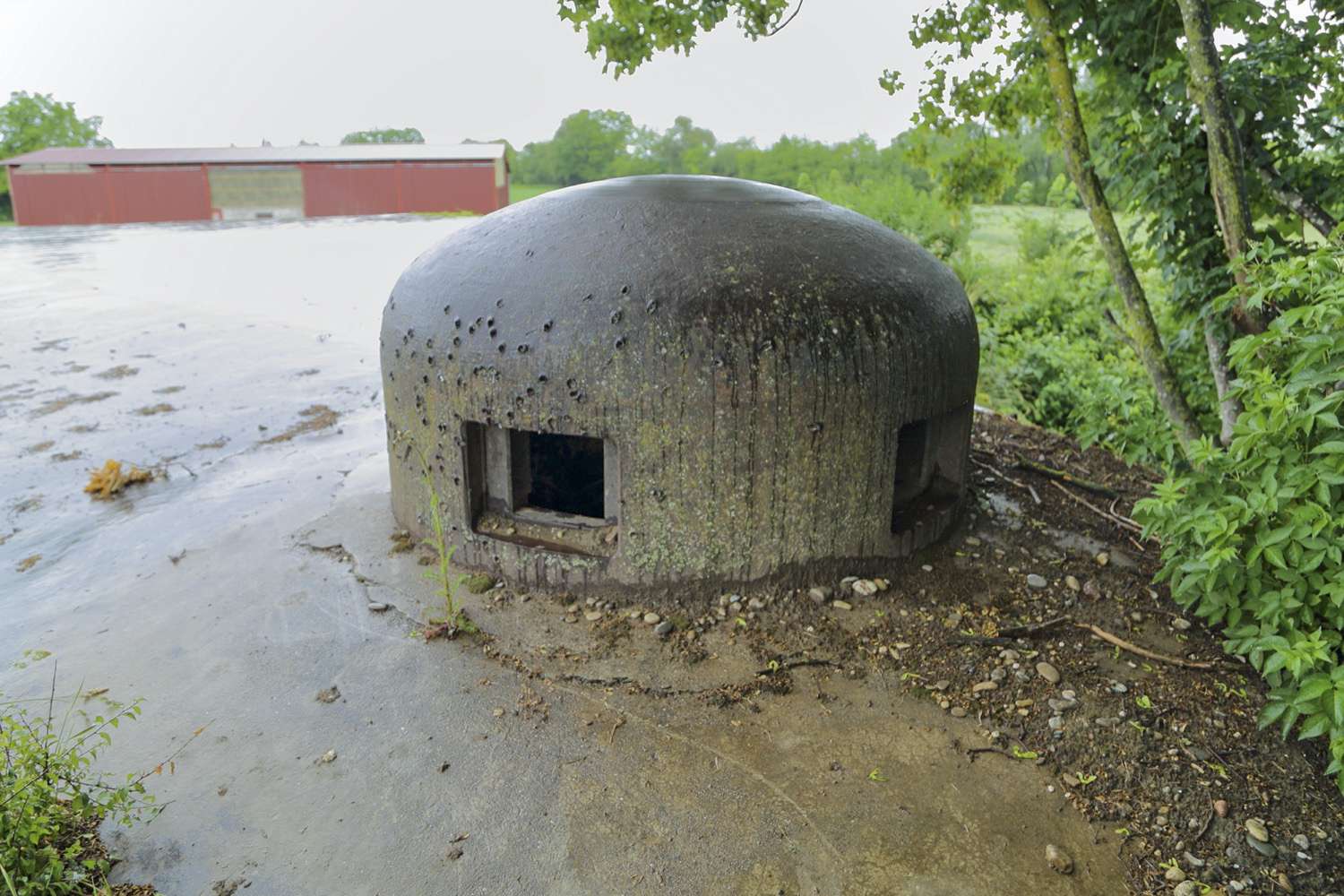 Ligne Maginot - 24/3 - ZIEGELHOF - (Casemate d'infanterie - double) -  - A. SCHOEN