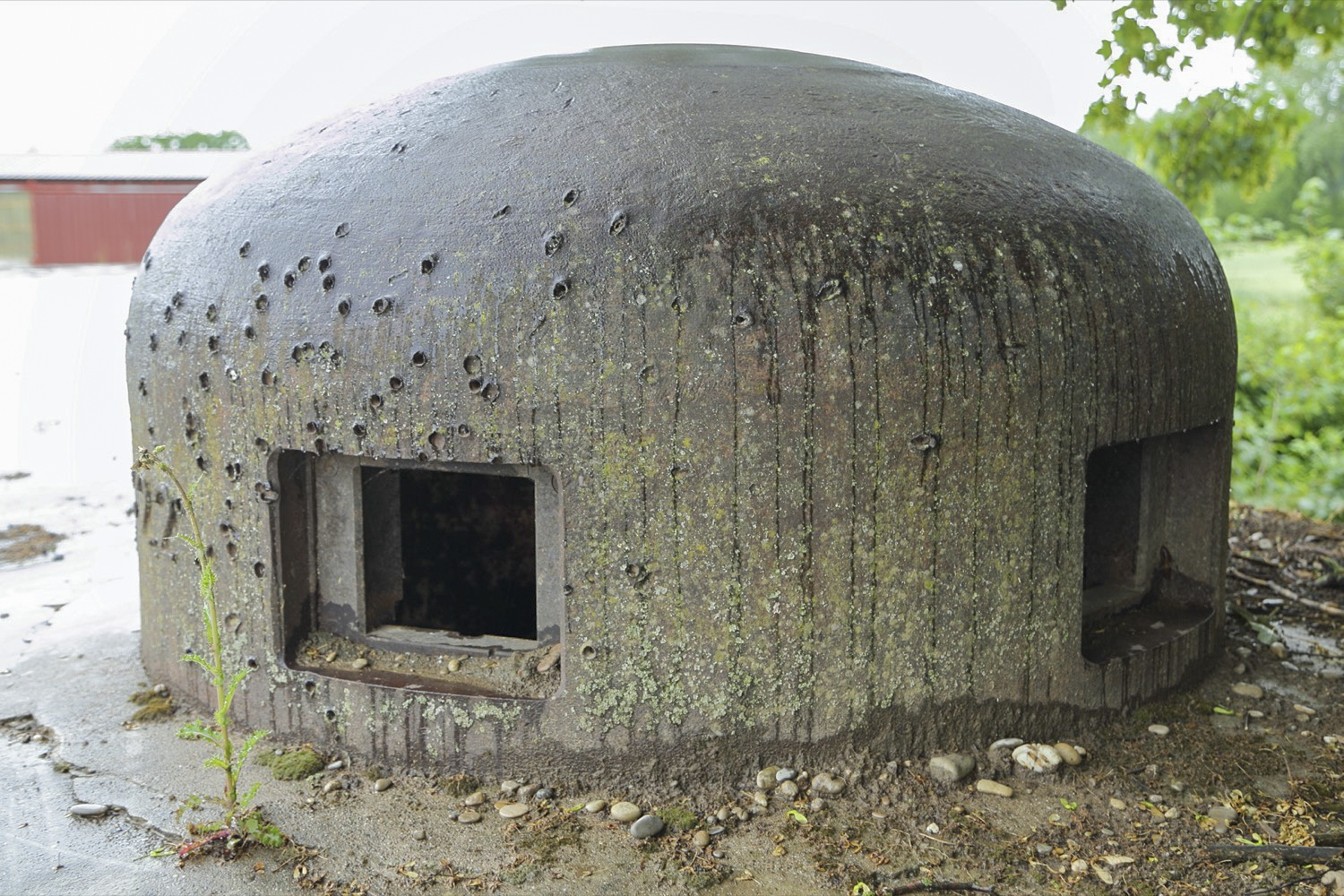 Ligne Maginot - 24/3 - ZIEGELHOF - (Casemate d'infanterie - double) -  - A. SCHOEN