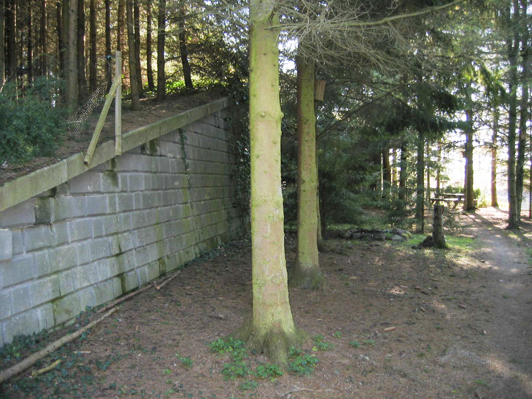 Ligne Maginot - 25/3 - NEUERGRABEN - (Casemate d'infanterie - double) - Mur de soutènement nord.  - Xavier HESS