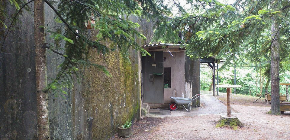 Ligne Maginot - 25/3 - NEUERGRABEN - (Casemate d'infanterie - double) -  - G. FUCHS