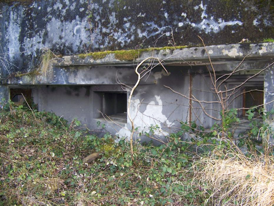 Ligne Maginot - Casemate 27BIS/3 - OBERWEIDT - Détail des seuls créneaux visibles: chambre de tir ouest - Dürlewanger Hubert