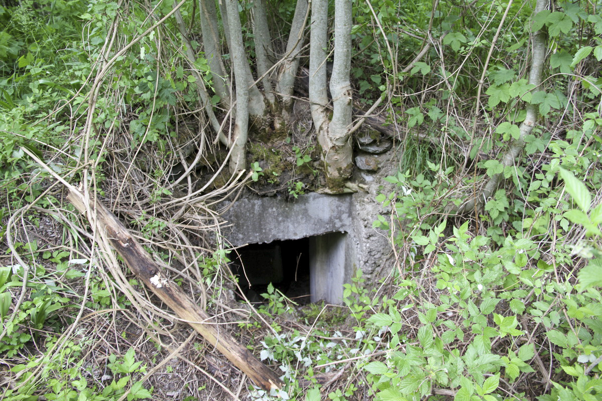 Ligne Maginot - Blockhaus de MONTVALEZAN 1 -  - Alain Perouffe
