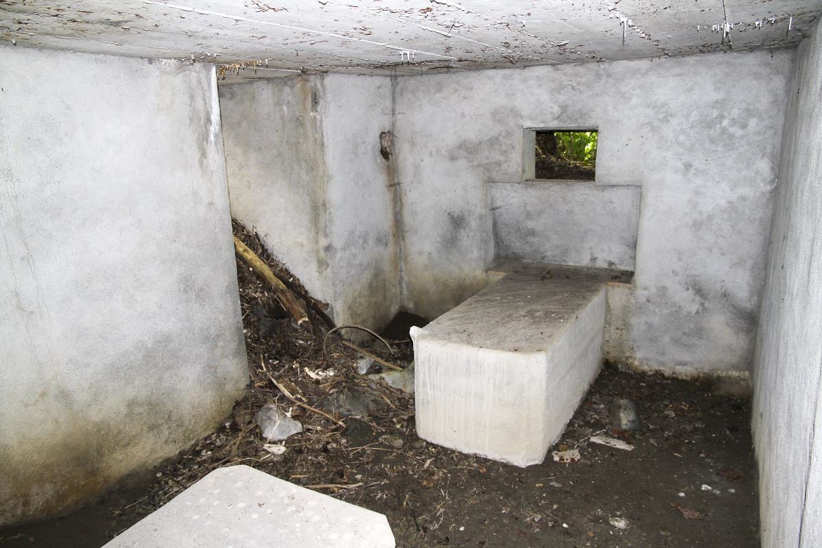 Ligne Maginot - Blockhaus de MONTVALEZAN 1 -  - Alain Perouffe