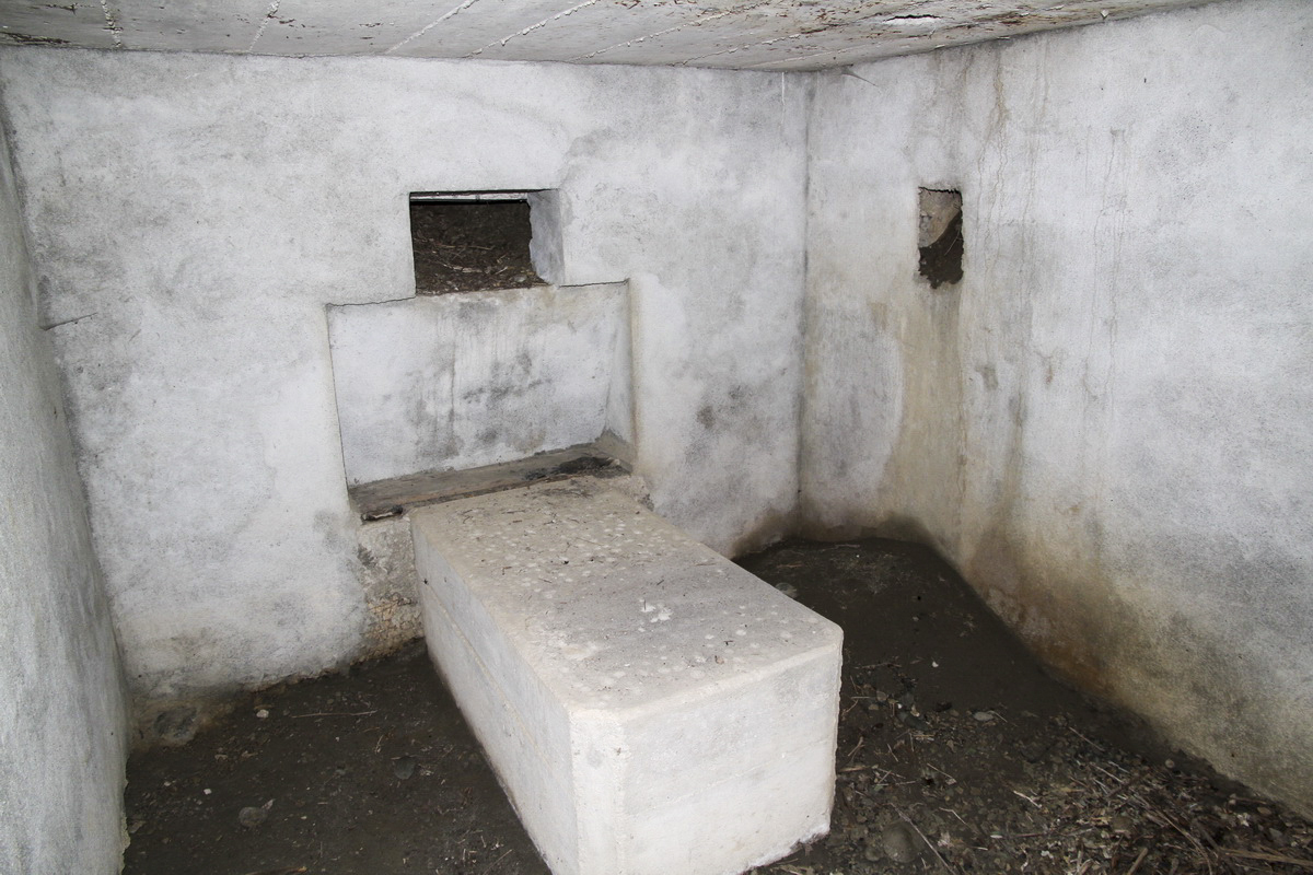 Ligne Maginot - Blockhaus de MONTVALEZAN 1 - Créneau est - Alain Perouffe