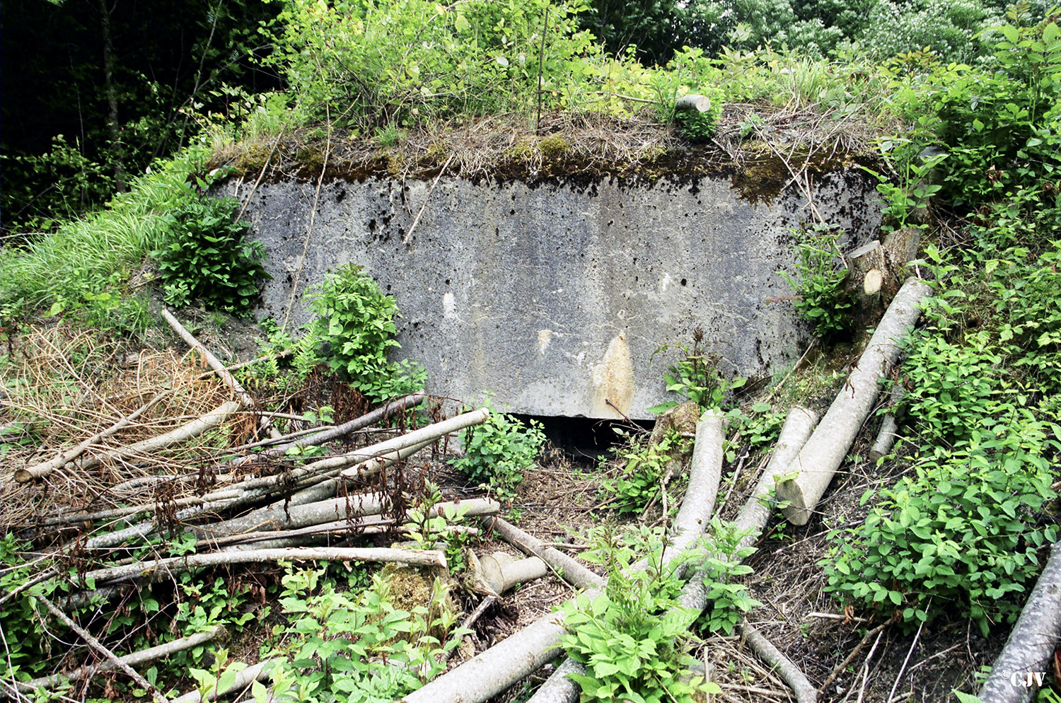 Ligne Maginot - Blockhaus de MONTVALEZAN 1 -  - Lia VERMEULEN