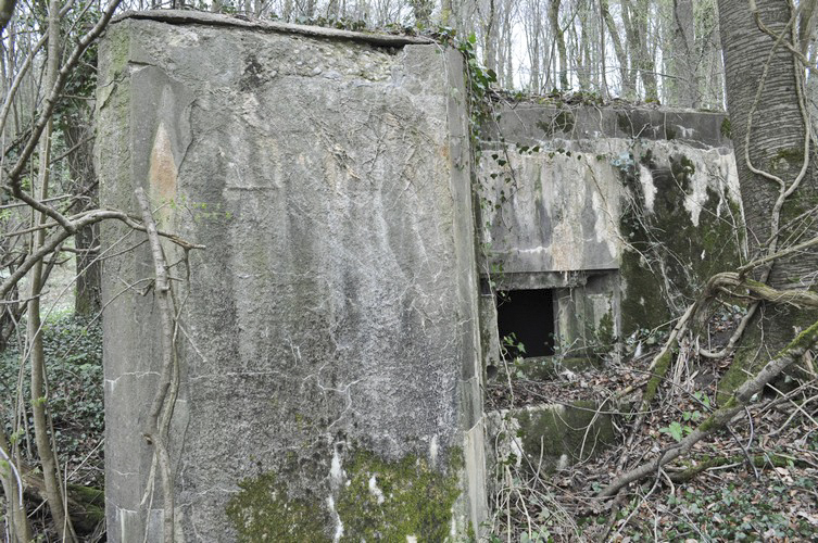 Ligne Maginot - DB346 - GRAND BOIS SUD - (Blockhaus pour arme infanterie) -  - Pruzsina Jérome