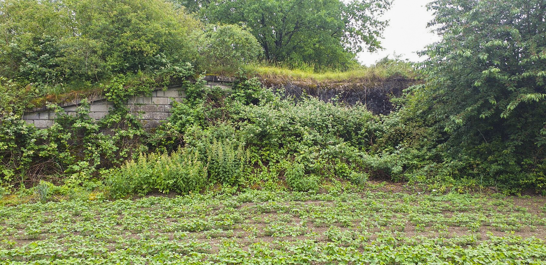 Ligne Maginot - 27BIS/3 - OBERWEIDT - (Casemate d'infanterie - double) - Chambre de tir nord-est - G.Fuchs