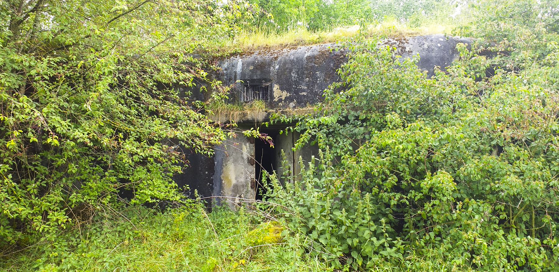 Ligne Maginot - 27BIS/3 - OBERWEIDT - (Casemate d'infanterie - double) - Entrée - G.Fuchs